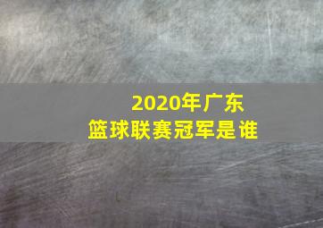 2020年广东篮球联赛冠军是谁