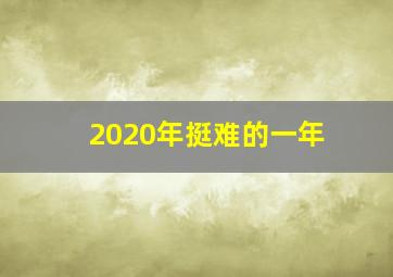 2020年挺难的一年