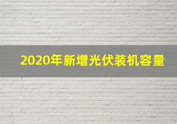 2020年新增光伏装机容量