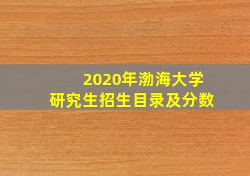 2020年渤海大学研究生招生目录及分数