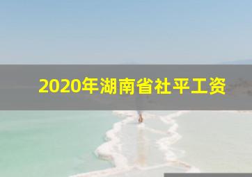 2020年湖南省社平工资