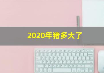 2020年猪多大了