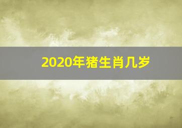 2020年猪生肖几岁