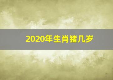 2020年生肖猪几岁