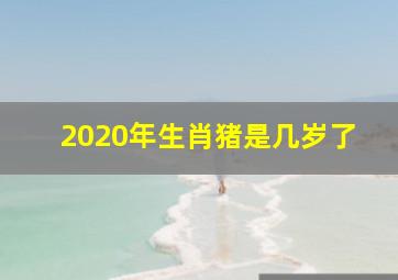 2020年生肖猪是几岁了