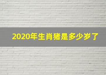 2020年生肖猪是多少岁了