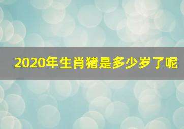 2020年生肖猪是多少岁了呢