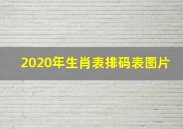 2020年生肖表排码表图片