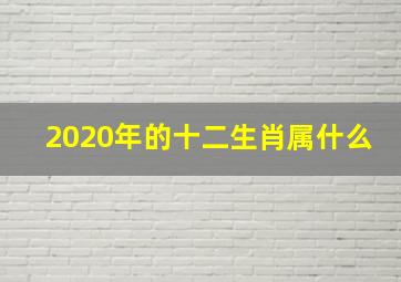 2020年的十二生肖属什么