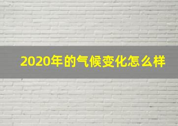 2020年的气候变化怎么样