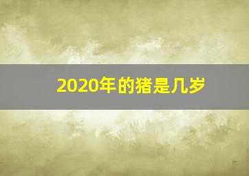 2020年的猪是几岁