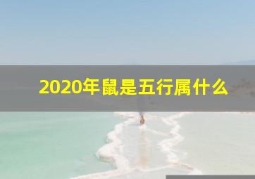 2020年鼠是五行属什么