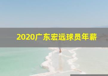 2020广东宏远球员年薪