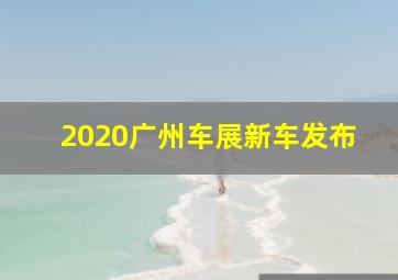 2020广州车展新车发布