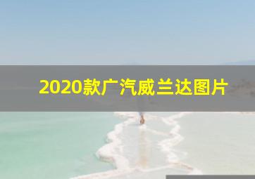 2020款广汽威兰达图片