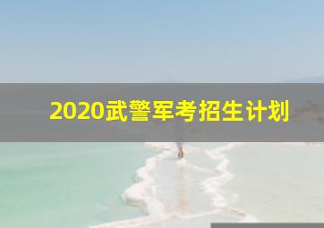 2020武警军考招生计划