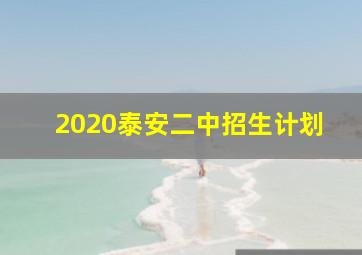 2020泰安二中招生计划