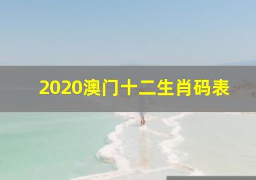 2020澳门十二生肖码表