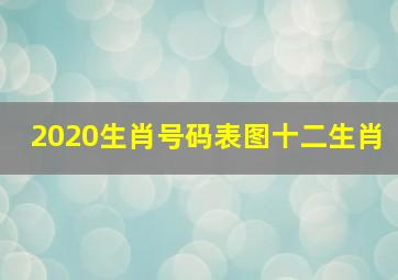 2020生肖号码表图十二生肖