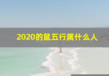 2020的鼠五行属什么人