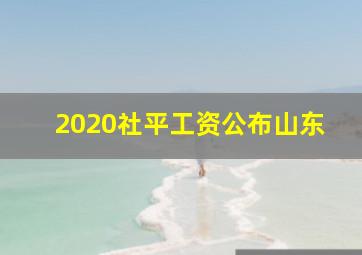 2020社平工资公布山东