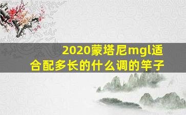 2020蒙塔尼mgl适合配多长的什么调的竿子