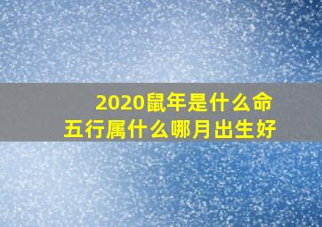 2020鼠年是什么命五行属什么哪月出生好