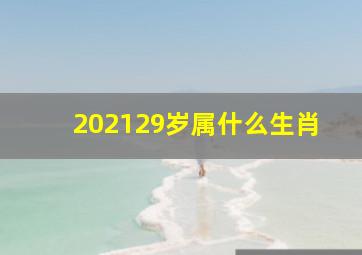 202129岁属什么生肖