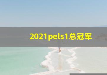 2021pels1总冠军