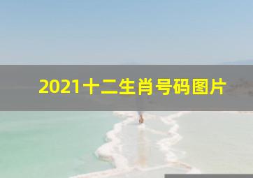 2021十二生肖号码图片