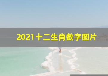 2021十二生肖数字图片