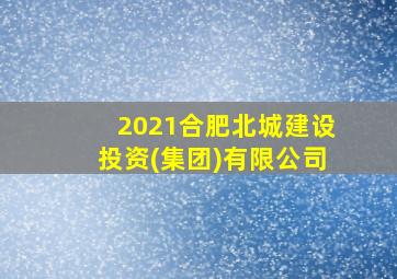 2021合肥北城建设投资(集团)有限公司