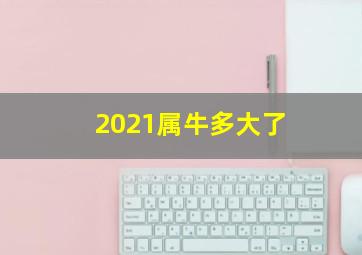 2021属牛多大了