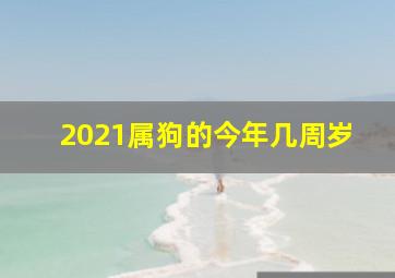 2021属狗的今年几周岁