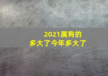 2021属狗的多大了今年多大了