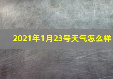 2021年1月23号天气怎么样