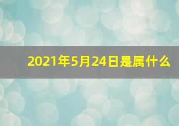 2021年5月24日是属什么