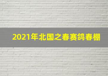 2021年北国之春赛鸽春棚