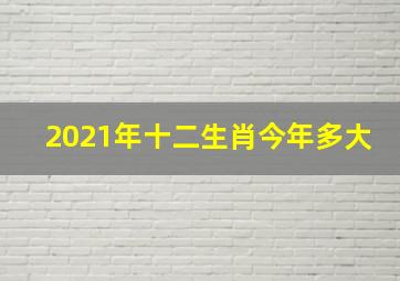 2021年十二生肖今年多大