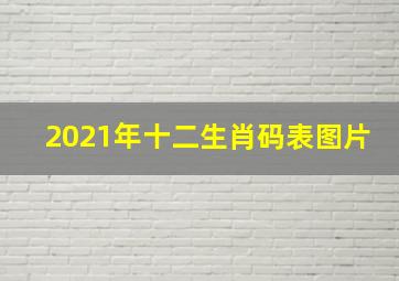 2021年十二生肖码表图片