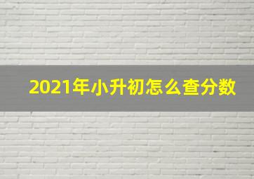 2021年小升初怎么查分数