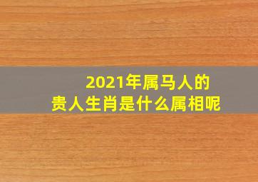 2021年属马人的贵人生肖是什么属相呢