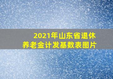 2021年山东省退休养老金计发基数表图片