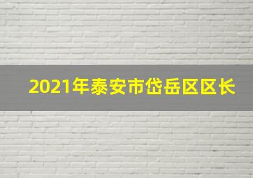 2021年泰安市岱岳区区长