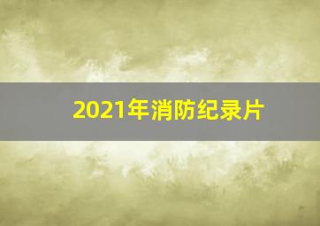 2021年消防纪录片