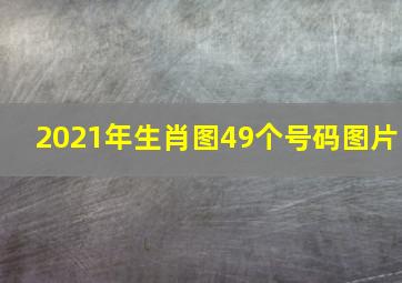 2021年生肖图49个号码图片