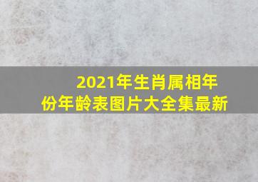 2021年生肖属相年份年龄表图片大全集最新