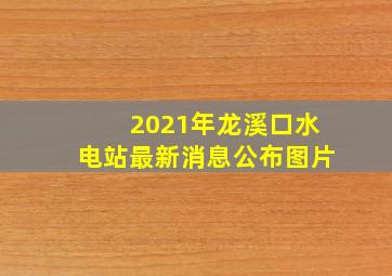 2021年龙溪口水电站最新消息公布图片