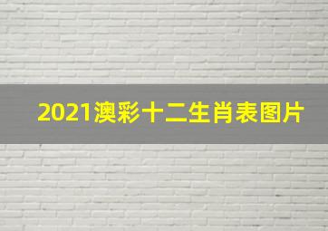 2021澳彩十二生肖表图片