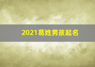 2021葛姓男孩起名